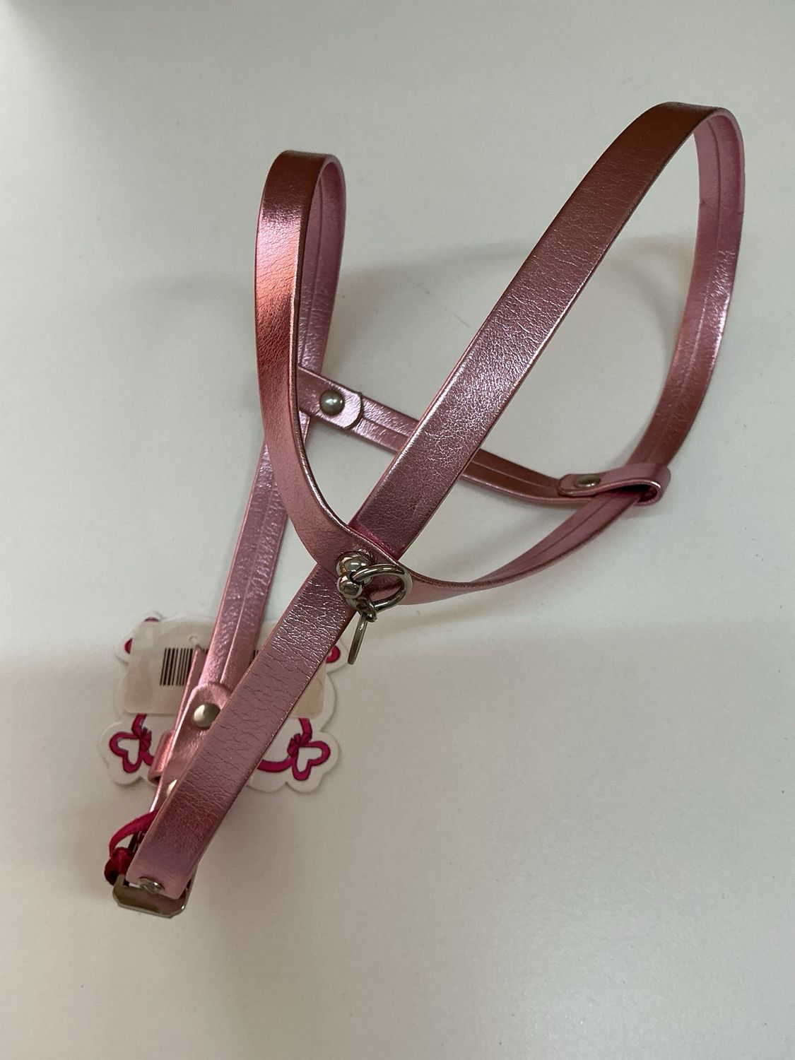 Halsband old pink lamé. charlotte Dress