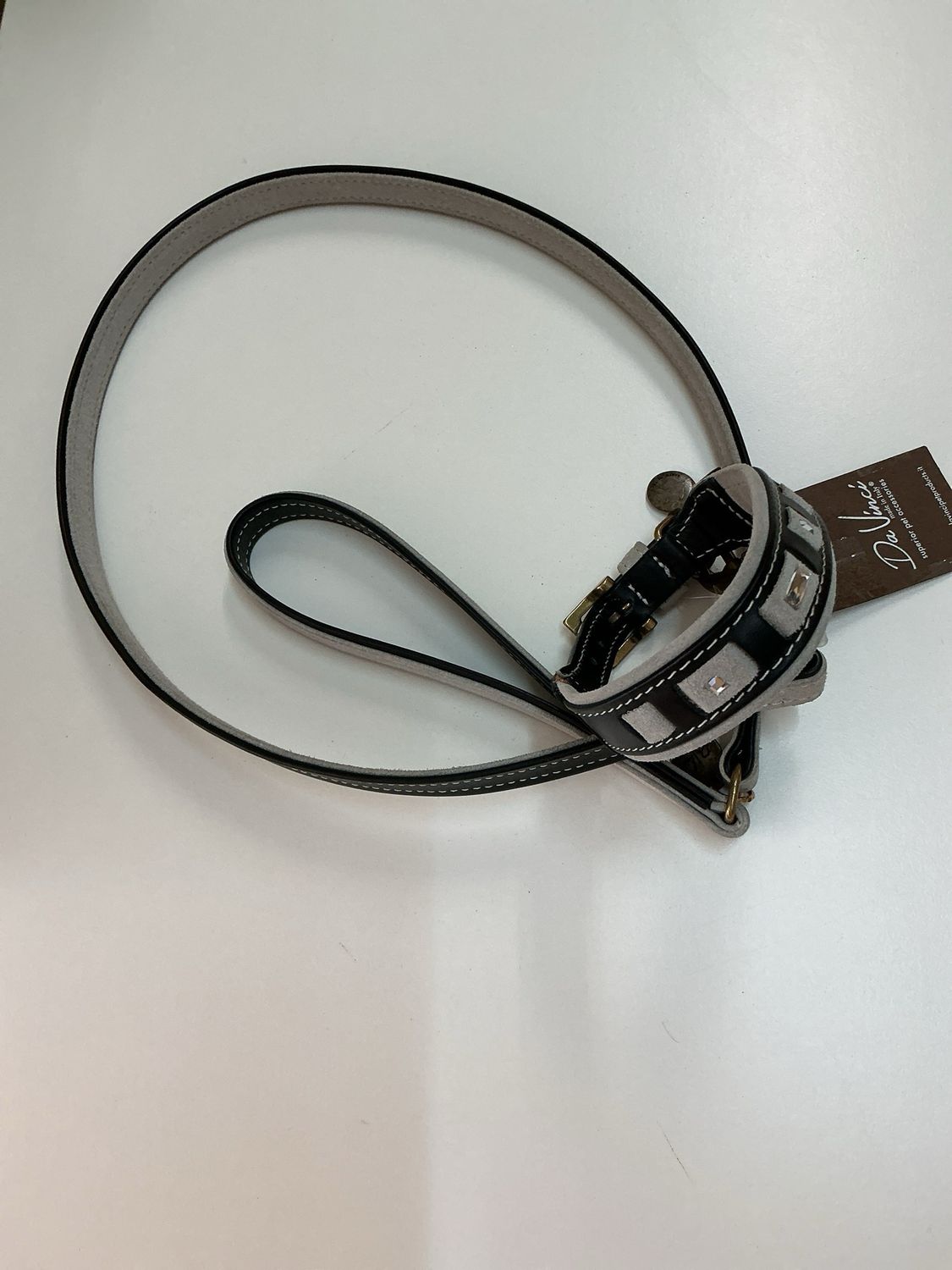 Halsband en leiband Da Vinci