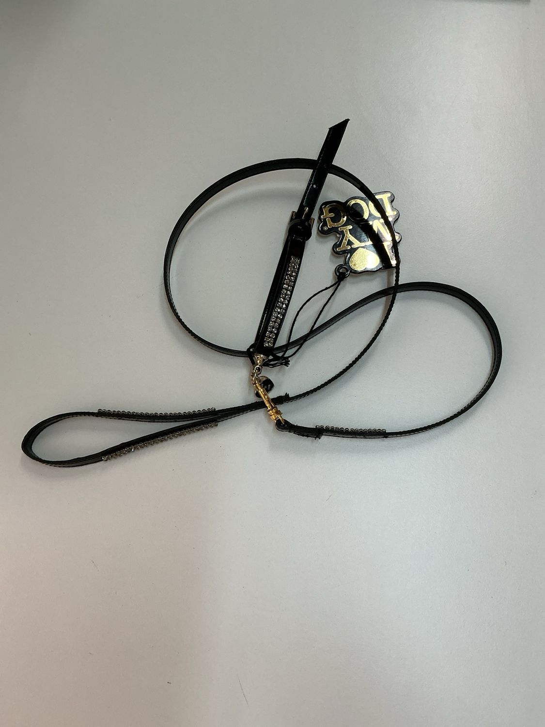 Halsband en leiband
