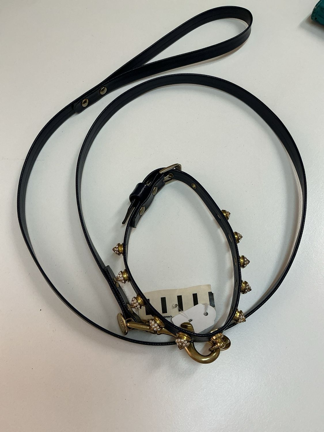 Halsband met leiband