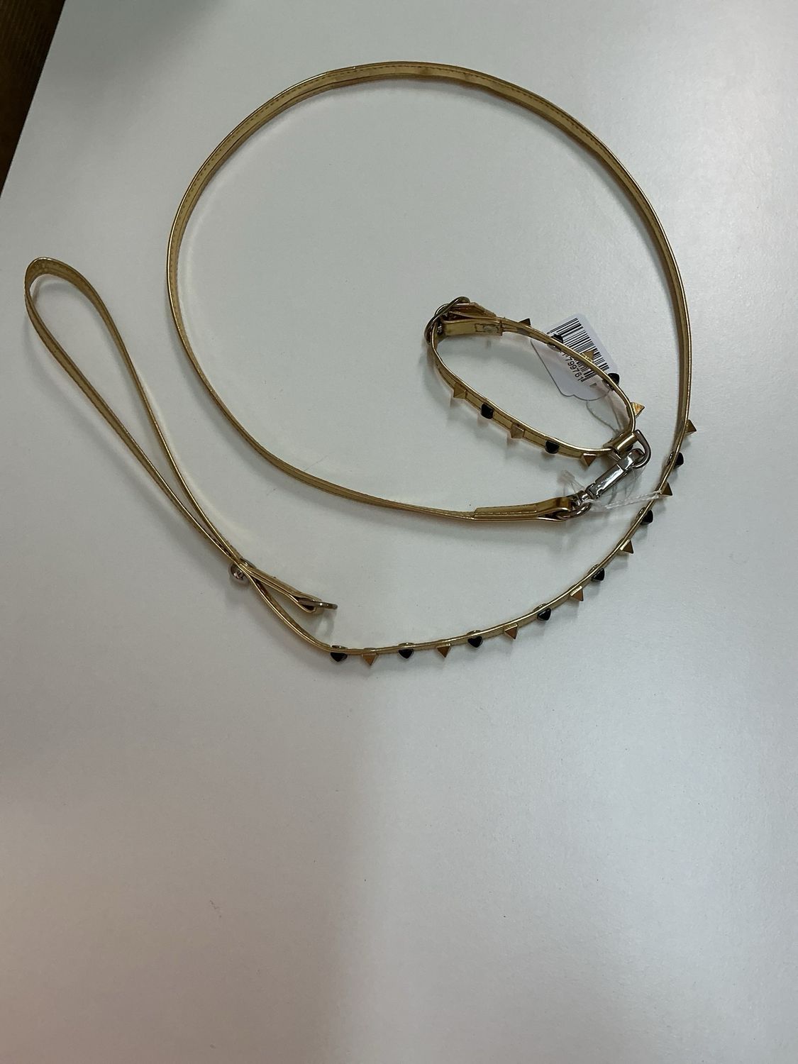 Halsband en leiband 25 cm