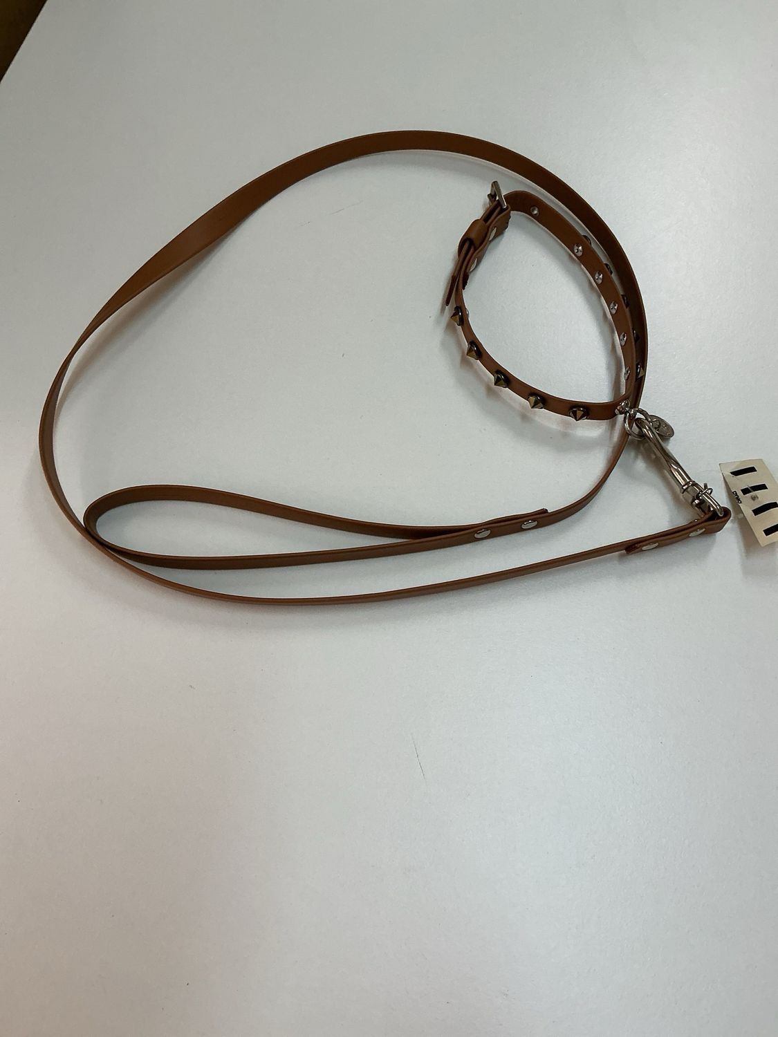 Halsband en leiband Charlotte’s Dress maat 35