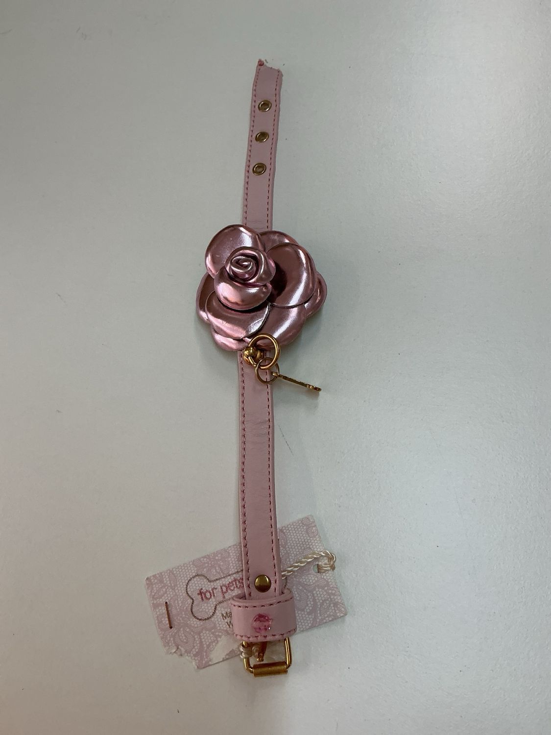 Halsbandje 25 cm For pets online