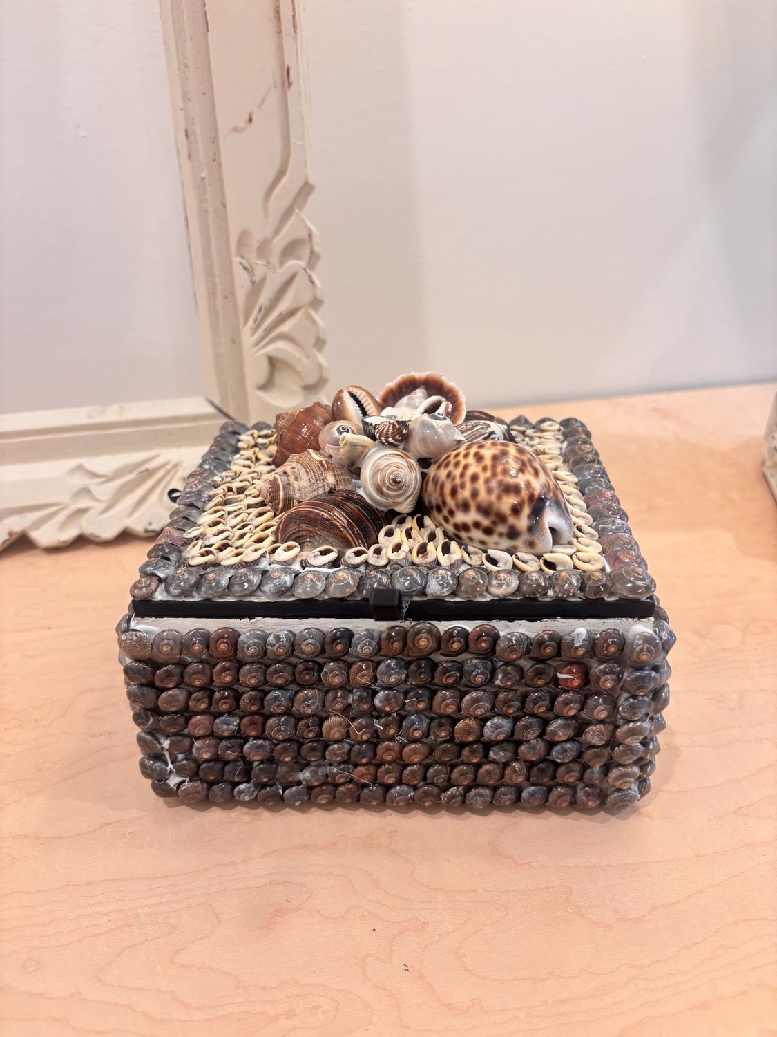 Brown cluster shell box med