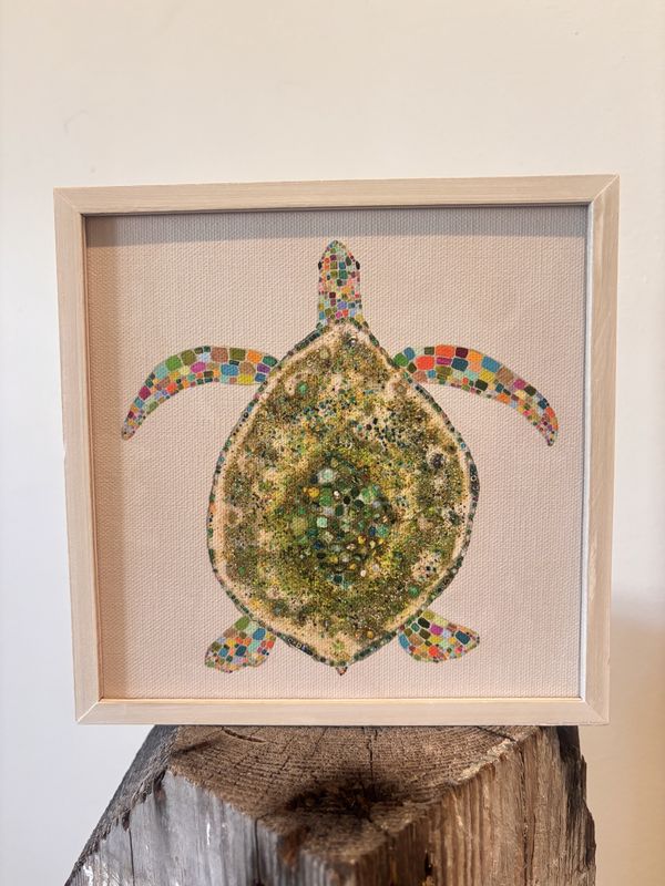 Sea turtle mini canvas