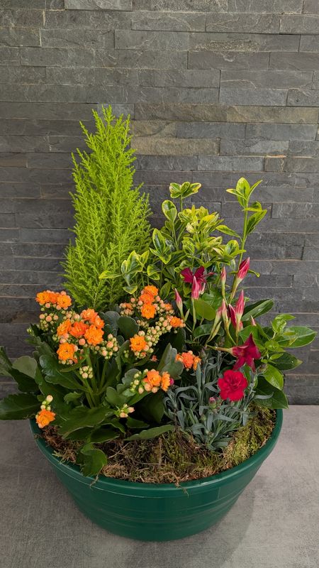 Coupe de plantes pour extérieur - Grande