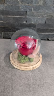 Rose éternelle sous cloche - Petite taille