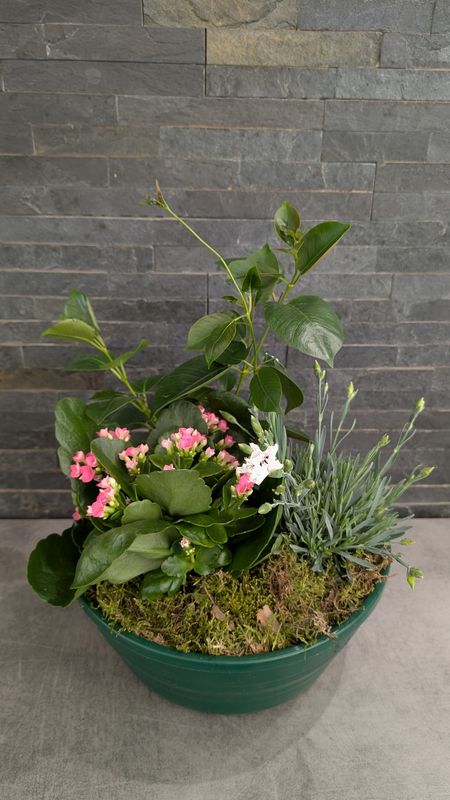 Coupe de plantes pour extérieur - Petite
