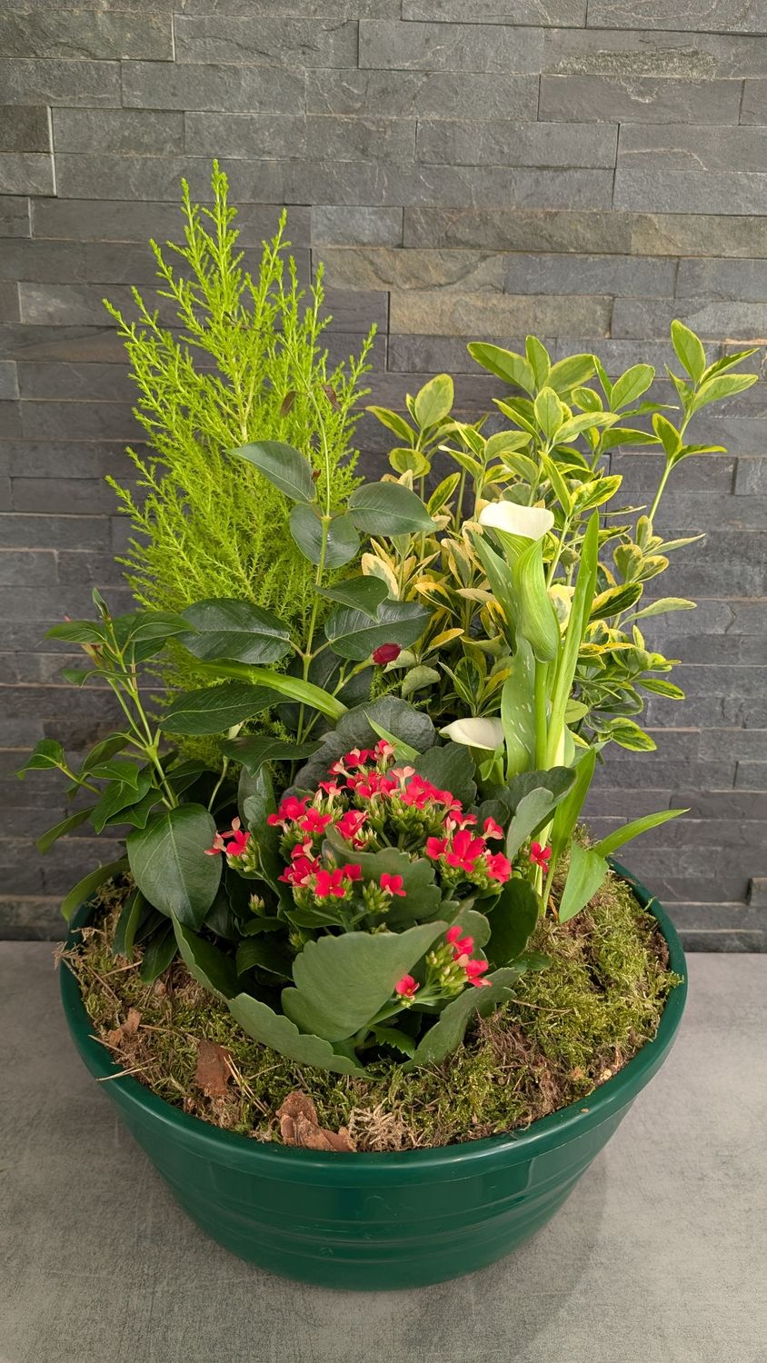 Coupe de plantes pour extérieur - Grande