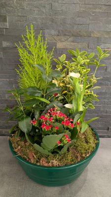 Coupe de plantes pour extérieur - Grande
