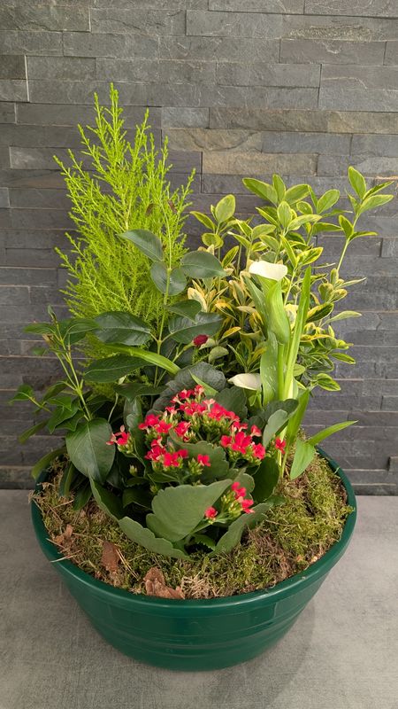 Coupe de plantes pour extérieur - Grande