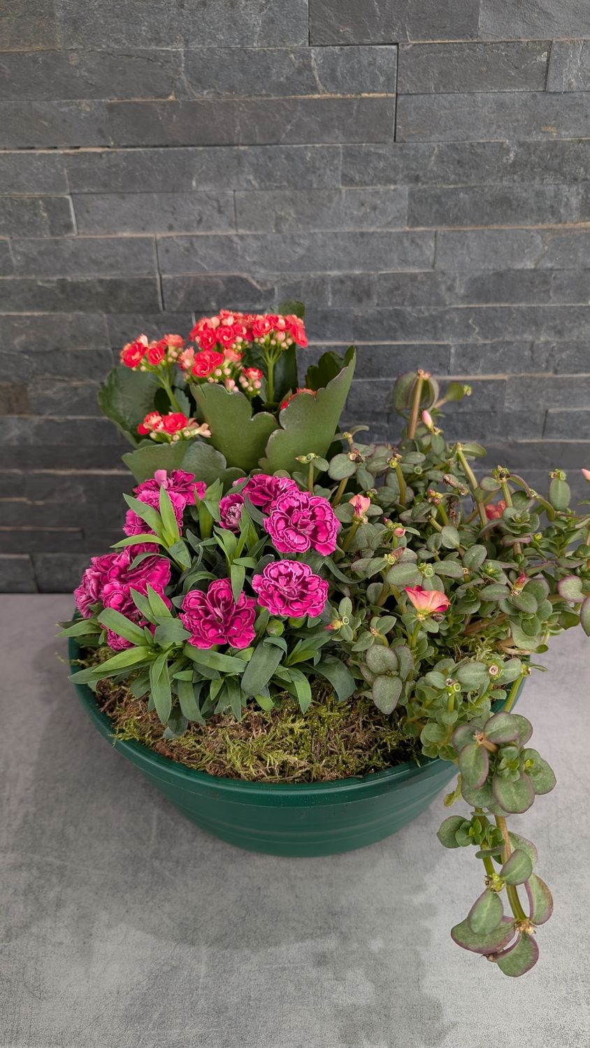Coupe de plantes pour extérieur - Petite