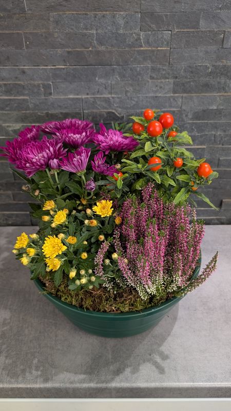 Coupe de plantes pour extérieur - Petite Coupe de plantes pour extérieur - Petite