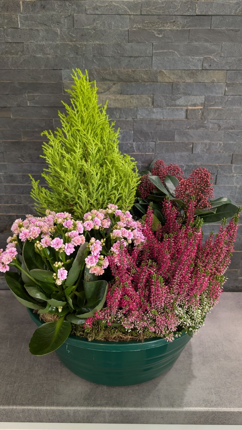 Coupe de plantes pour extérieur - Grande