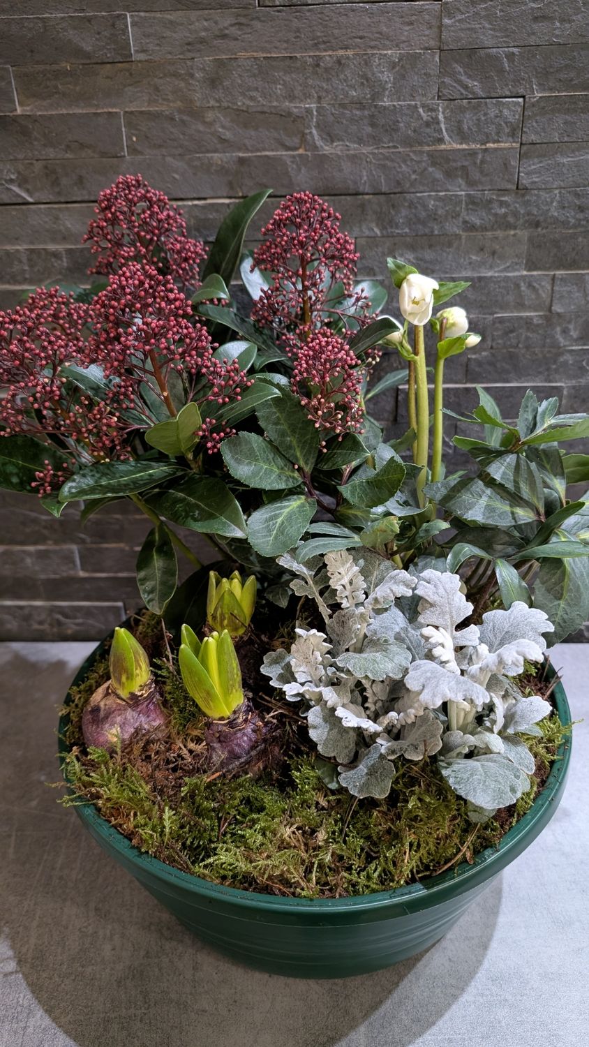 Coupe de plantes pour extérieur - Petite