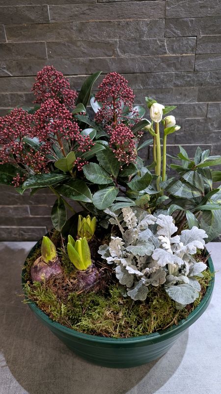 Coupe de plantes pour extérieur - Petite