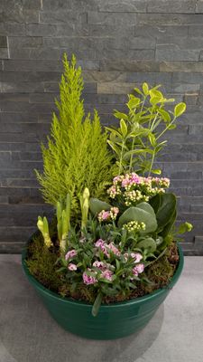 Coupe de plantes pour extérieur - Grande
