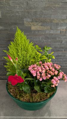 Coupe de plantes pour extérieur - Grande