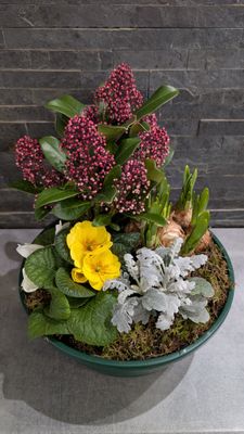 Coupe de plantes pour extérieur - Petite