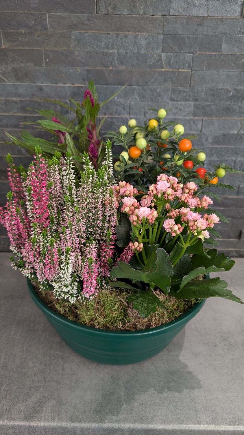 Coupe de plantes pour extérieur - Petite