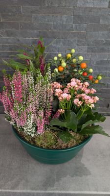 Coupe de plantes pour extérieur - Petite
