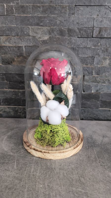 Rose éternelle sous cloche