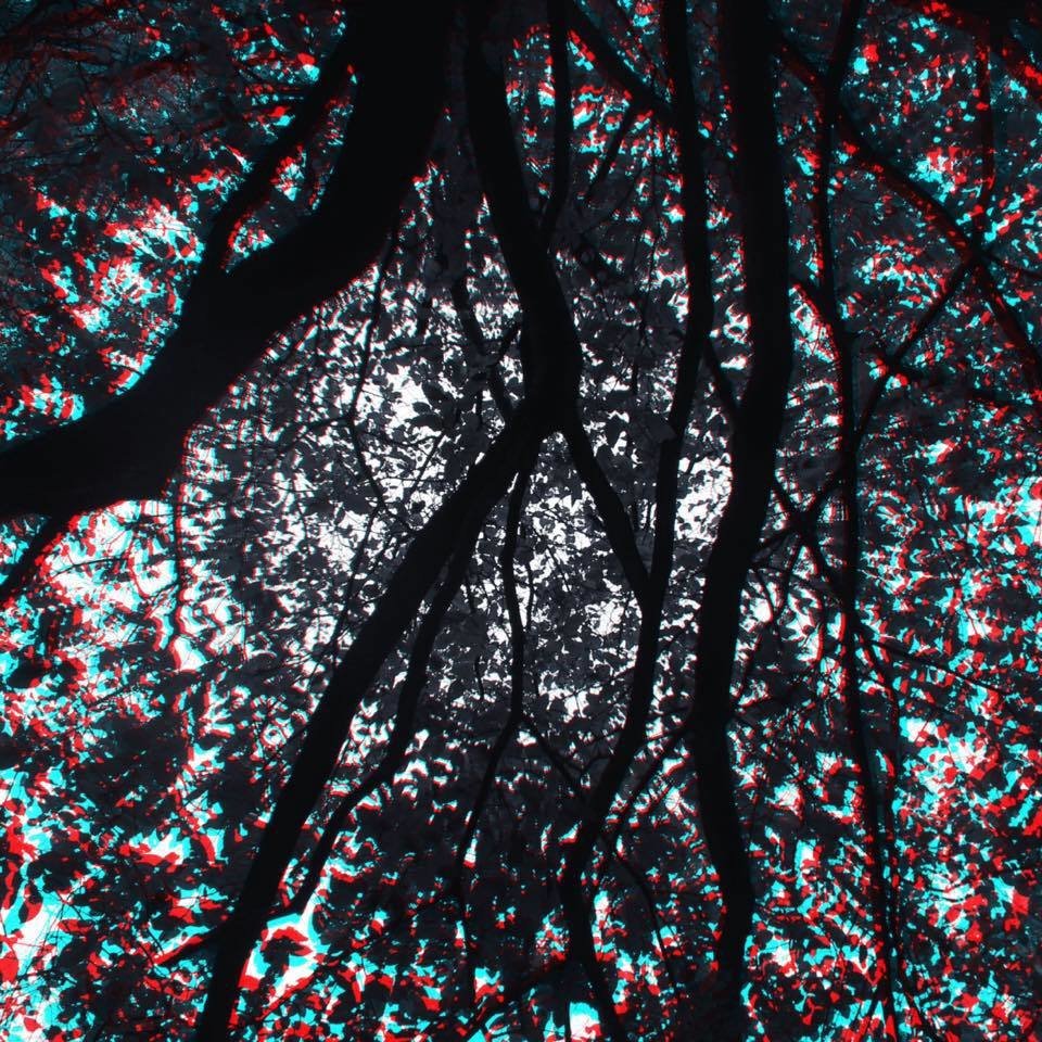 Waves of Light - Physical CD