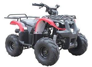 VELOZ 110CC UTILITY-MID SIZE