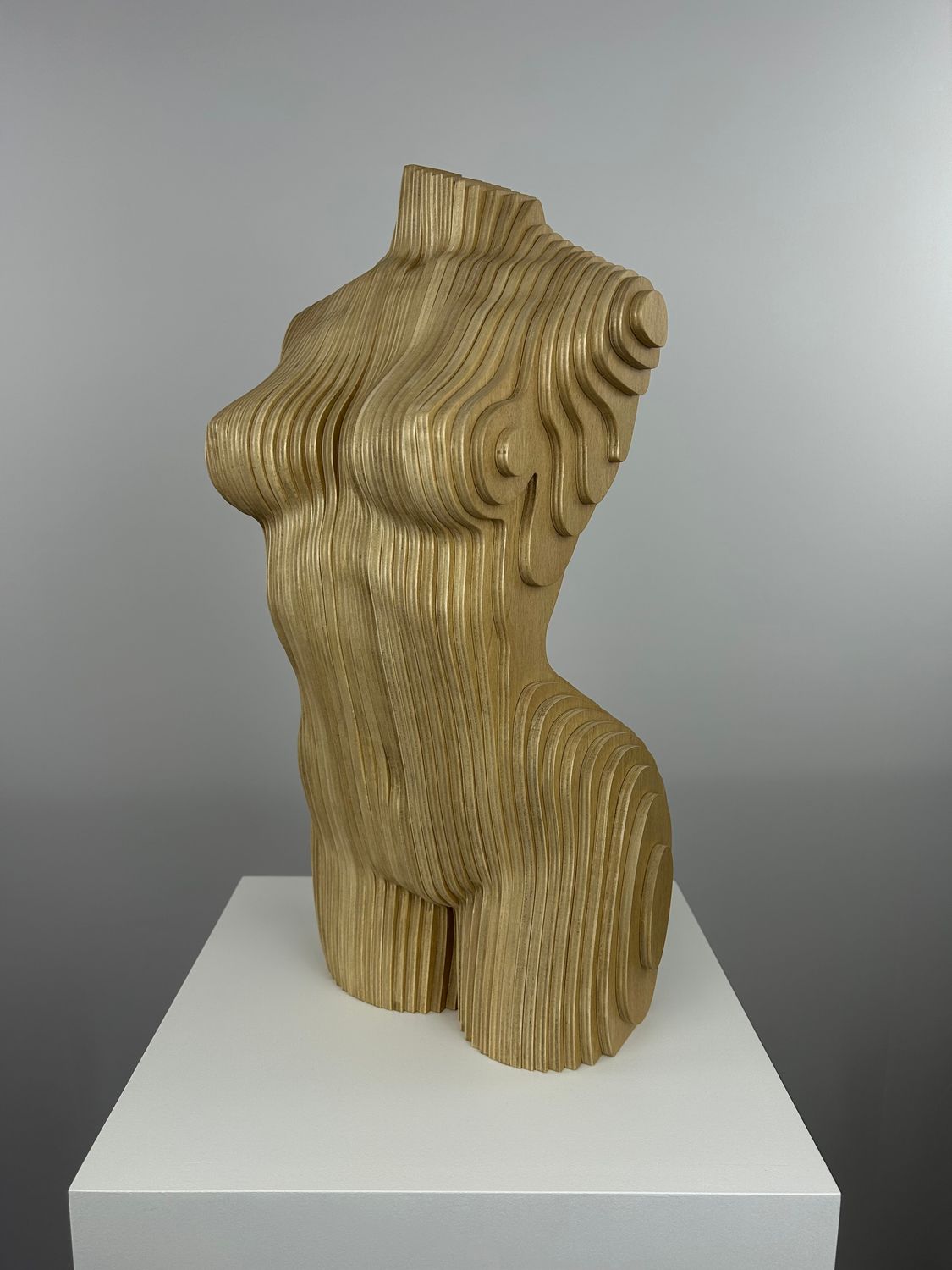 Parametric 'The Woman'