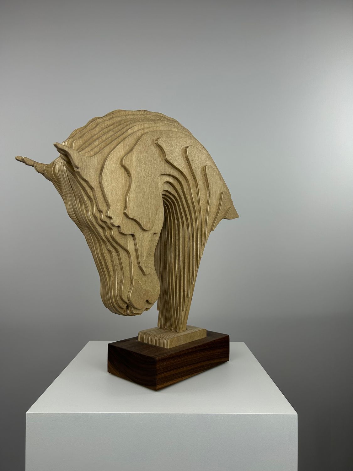 The Horse