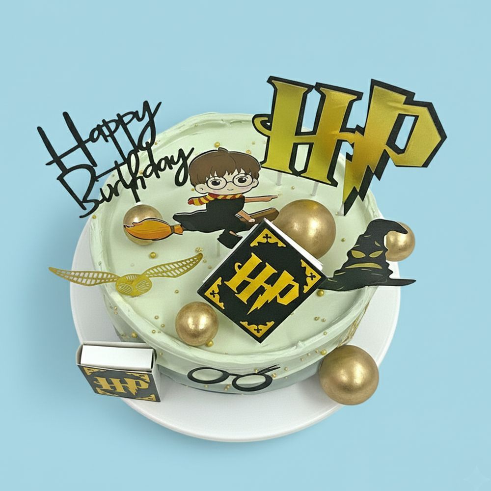 TCS39 Harry Potter Birthday Cake