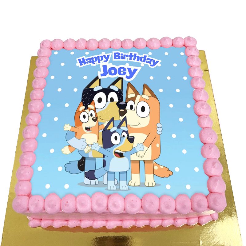 TNP35 Bluey Birthday