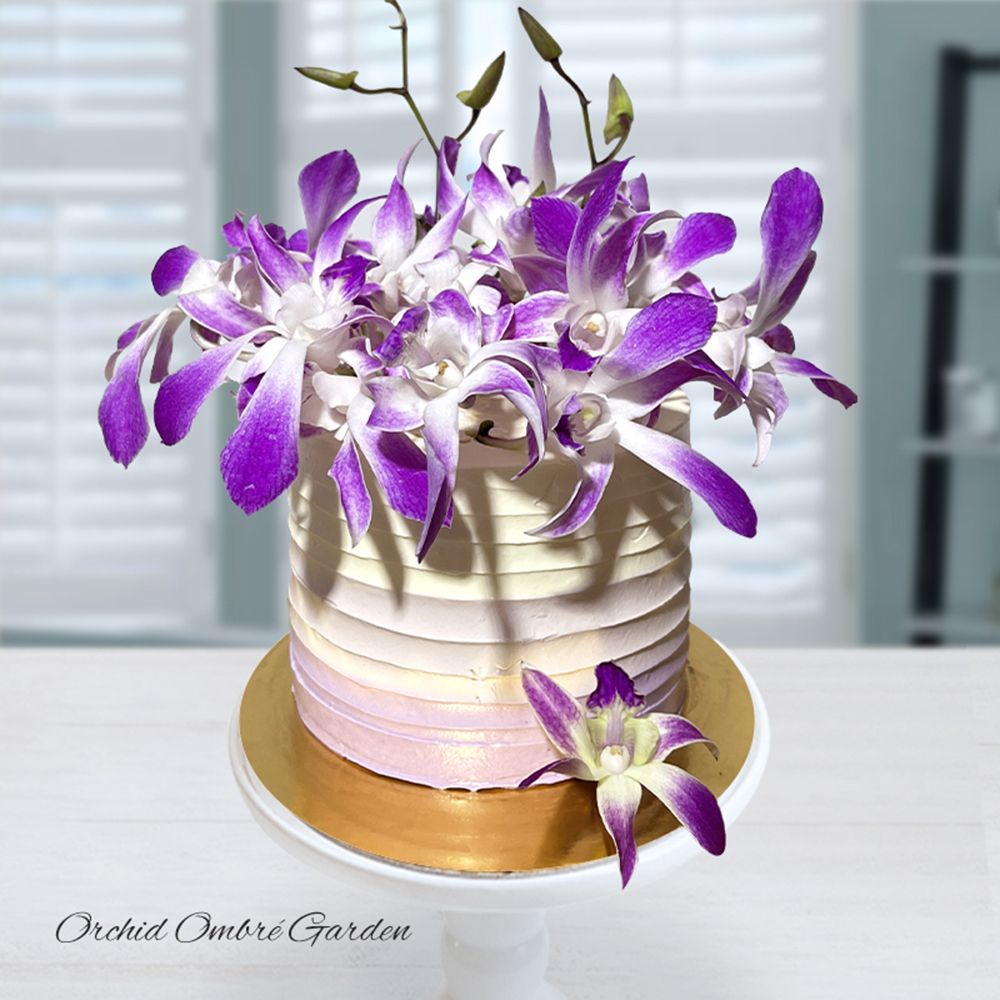 TFC124 Orchid Ombré Garden