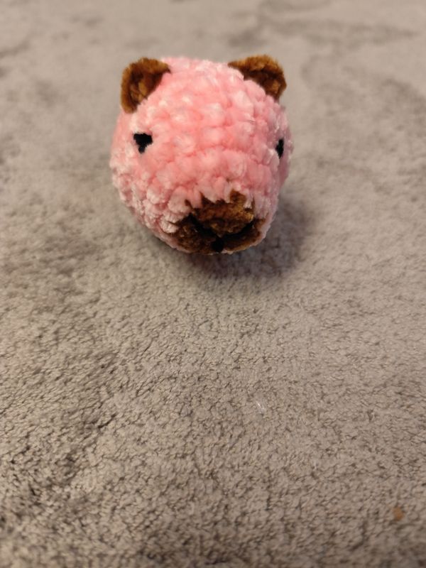 Capybara Flauschig