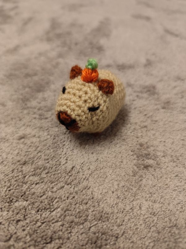 Mini Capybara