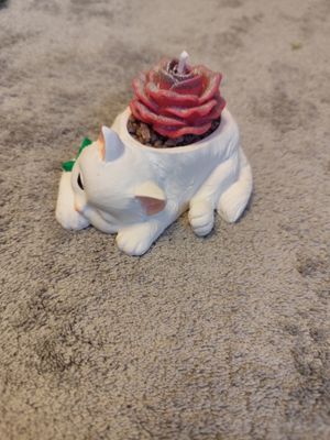 Liegende Katze mit Blume Liegende Katze mit Blume