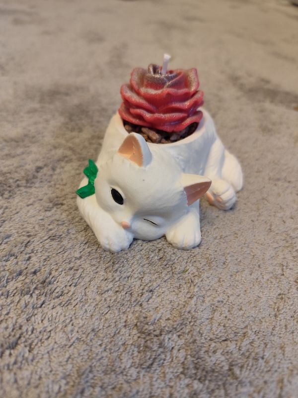 Liegende Katze mit Blume