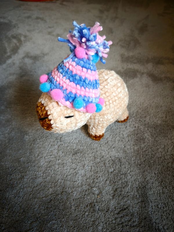 Capybara mit " Hut "