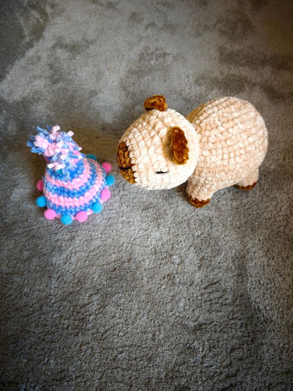Capybara mit " Hut "