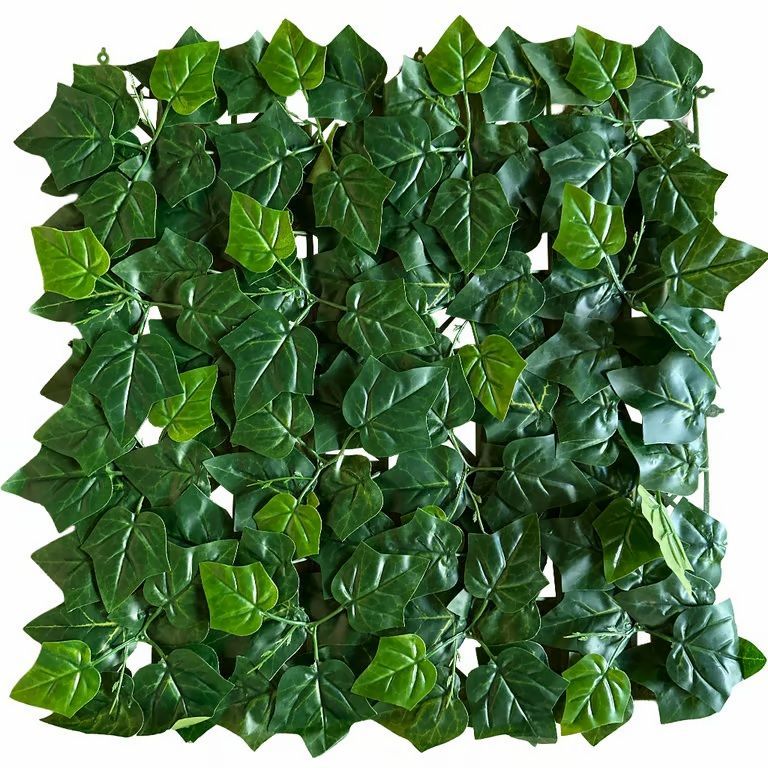 Jardin Vertical Aralia