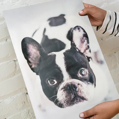 Why We Love ChromaLuxe: The Premium Choice for Metal Photo Prints