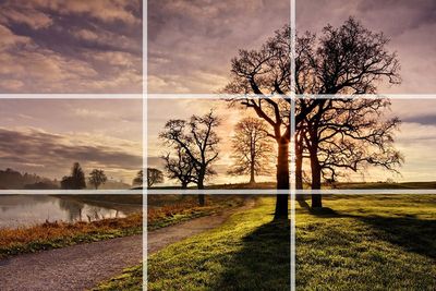 📸 Unleashing the Power of Composition in Photography: A Guide to Captivating Visual Storytelling 📸
