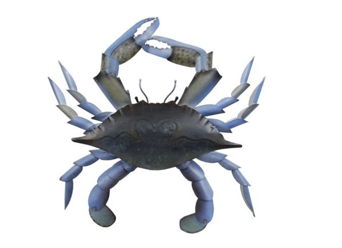 Blue Claw Crab Md