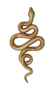Gold Snake Wall Decor