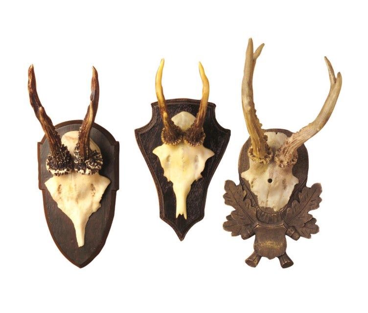 Hunt Club Trophy Wall