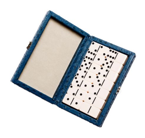 The Line 'Em Up Domino Set