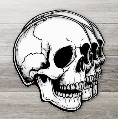 Ozark Sticker Company, Type: Classic Skull