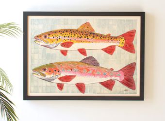 Framed Two Fish Painting
