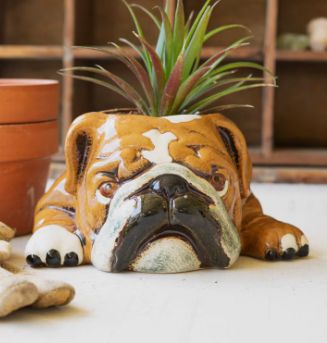Ceramic Bulldog Planter