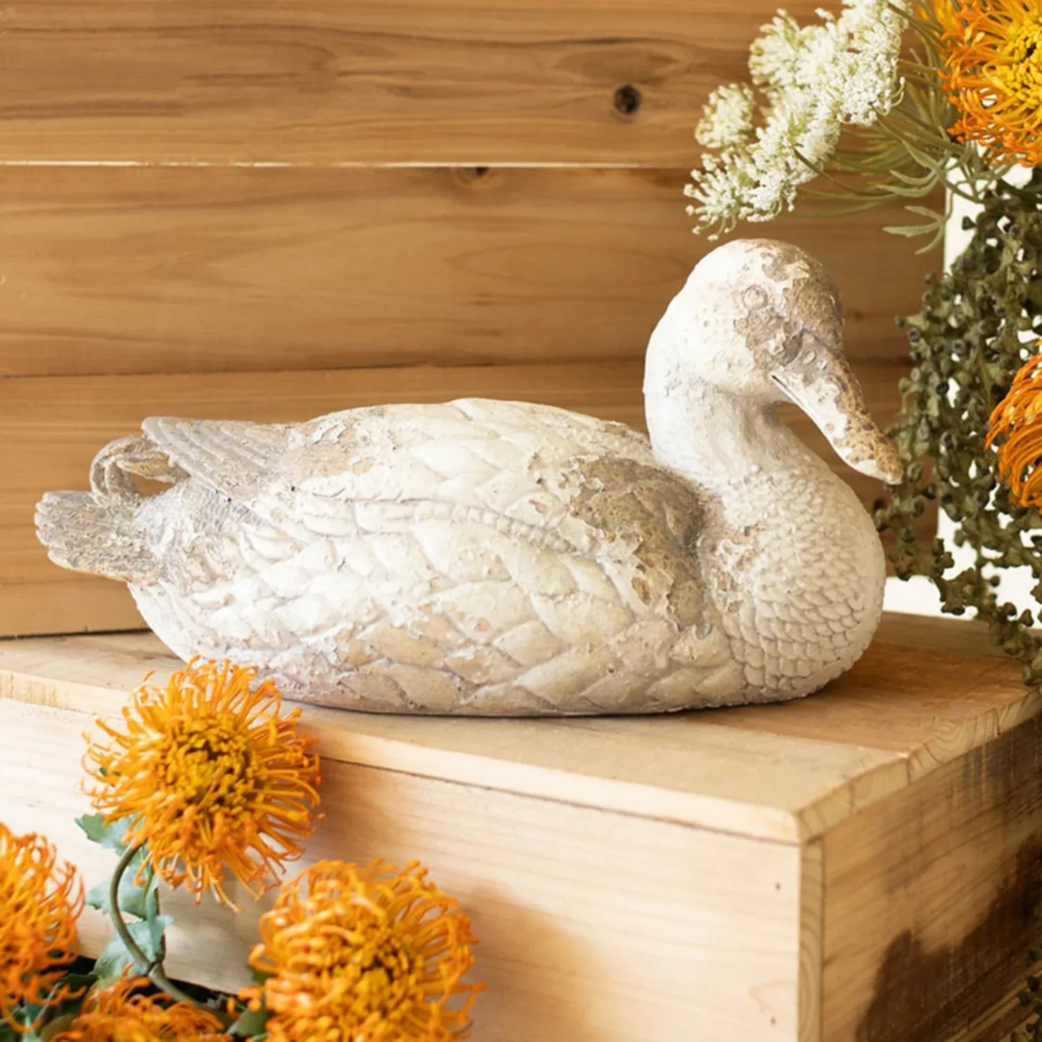Concrete Pintail Duck